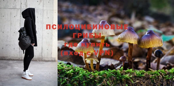 ГАЛЛЮЦИНОГЕННЫЕ ГРИБЫ Арсеньев