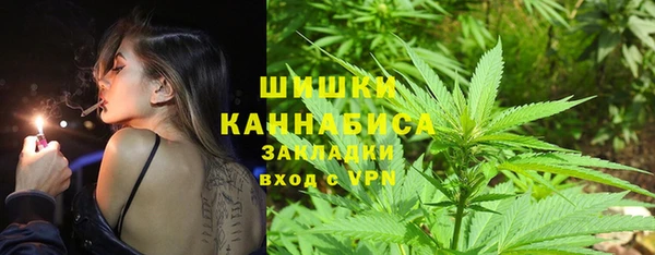 ГАЛЛЮЦИНОГЕННЫЕ ГРИБЫ Арсеньев