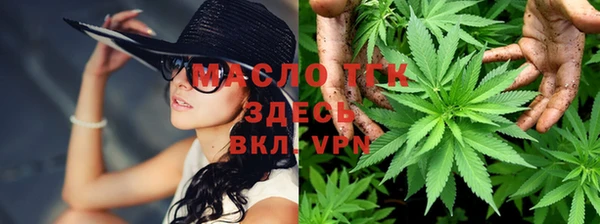 ECSTASY Новозыбков