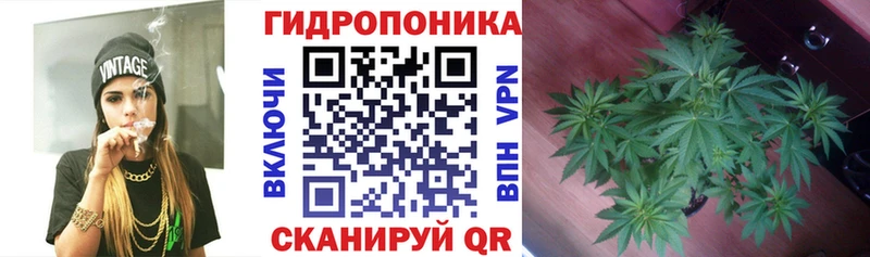 купить  цена  Спасск  Каннабис марихуана 